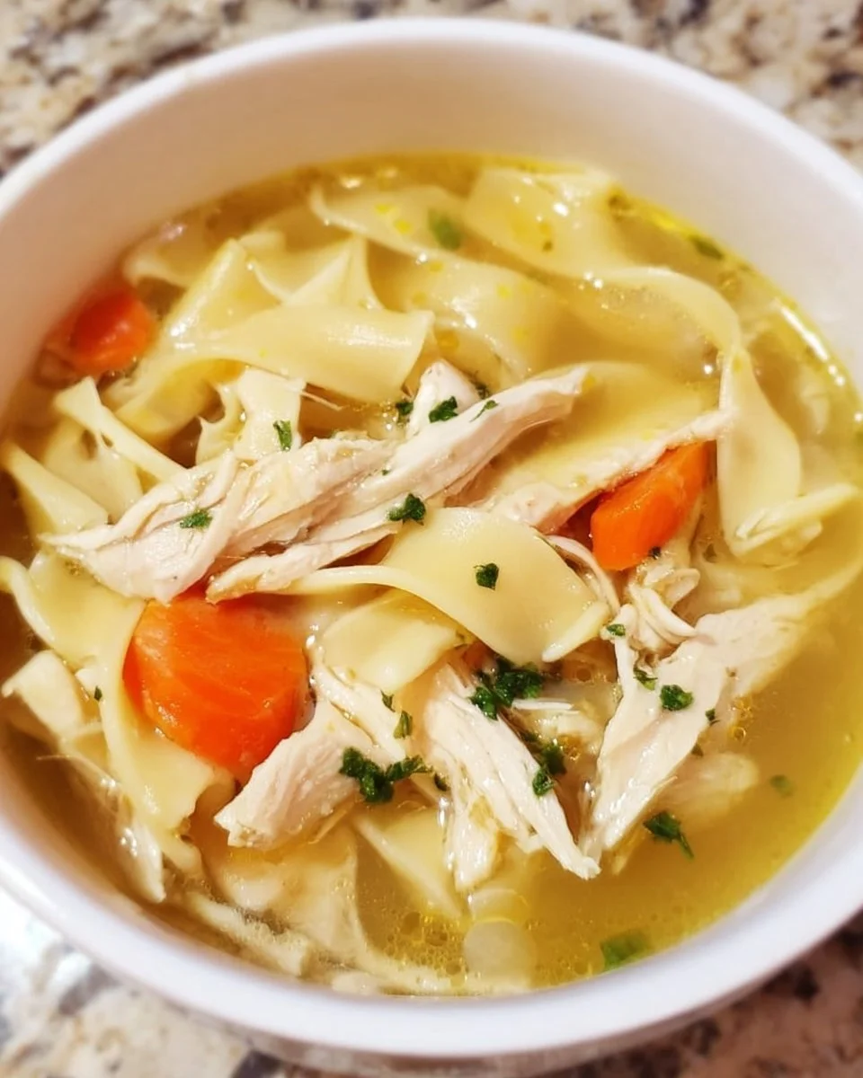 Schüssel mit der besten Truthahn-Nudelsuppe, frisch zubereitet