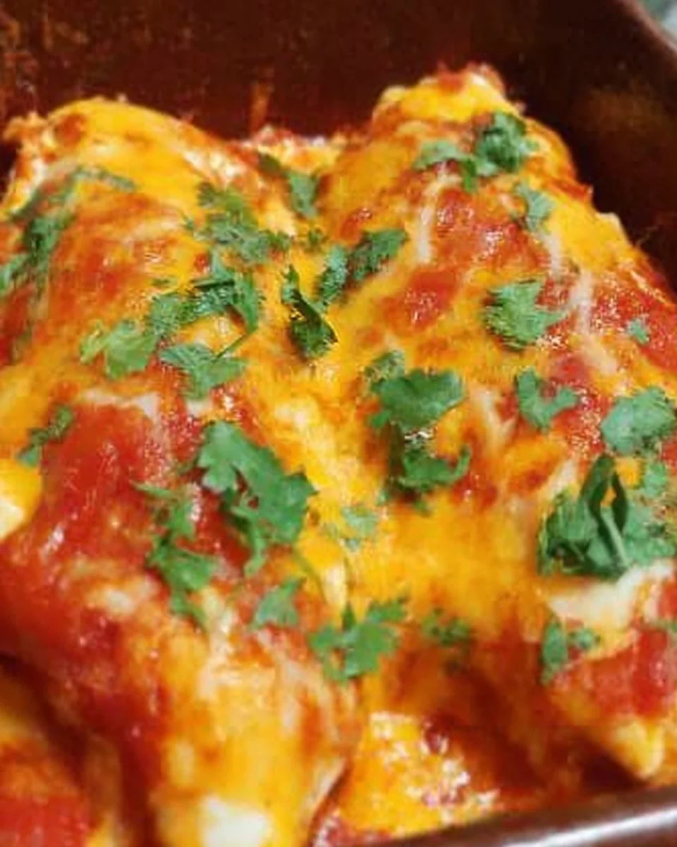 Salsa-Hühnchen-Auflauf